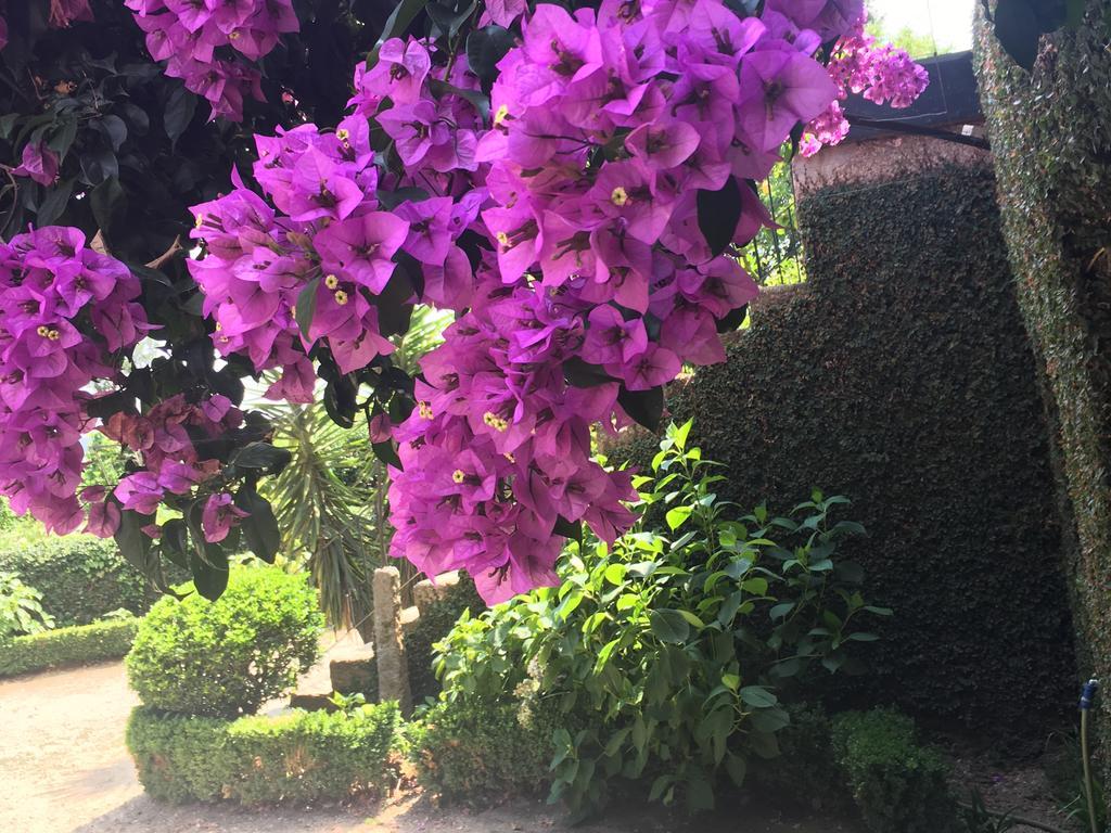 Quinta Da Ponte Do Louro旅馆 外观 照片